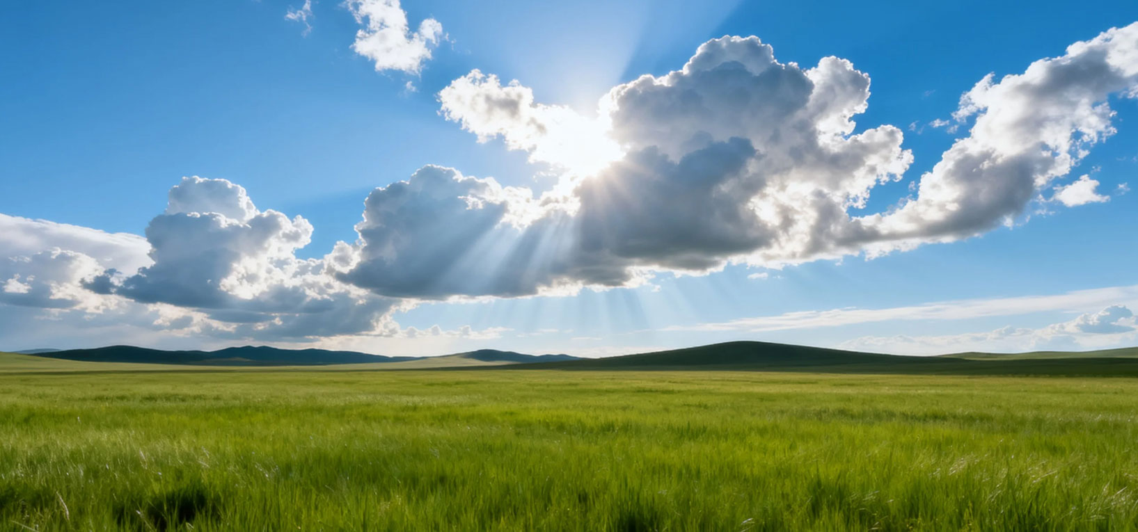 益达公司办公环境